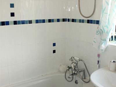 Picture 8
